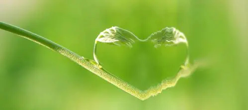 国内治疗癌症最好的医院,癌症靶向治疗花多少钱