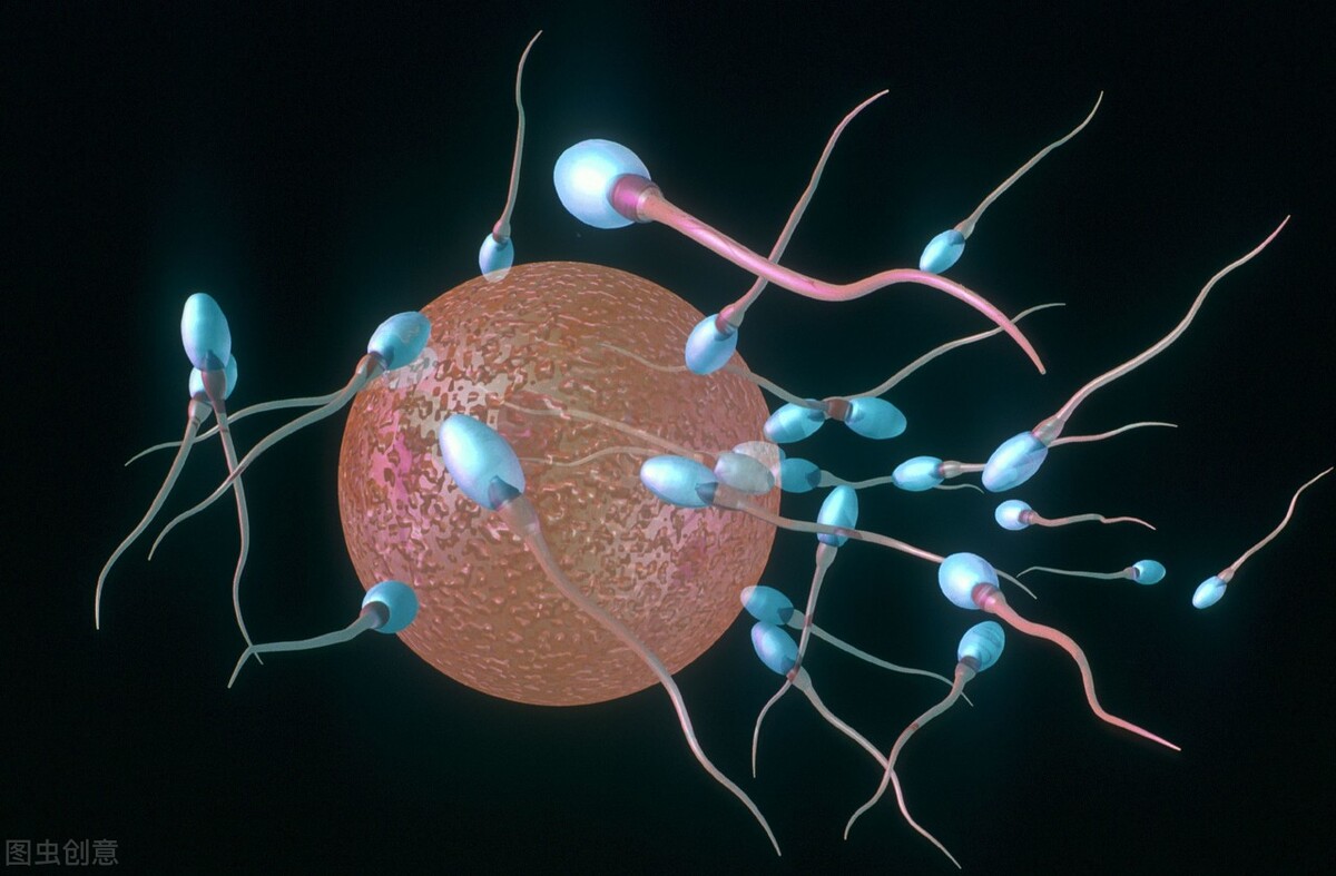 西安孕妇流产事件是如何处理的,西安孕妇流产事件胎儿保住没有