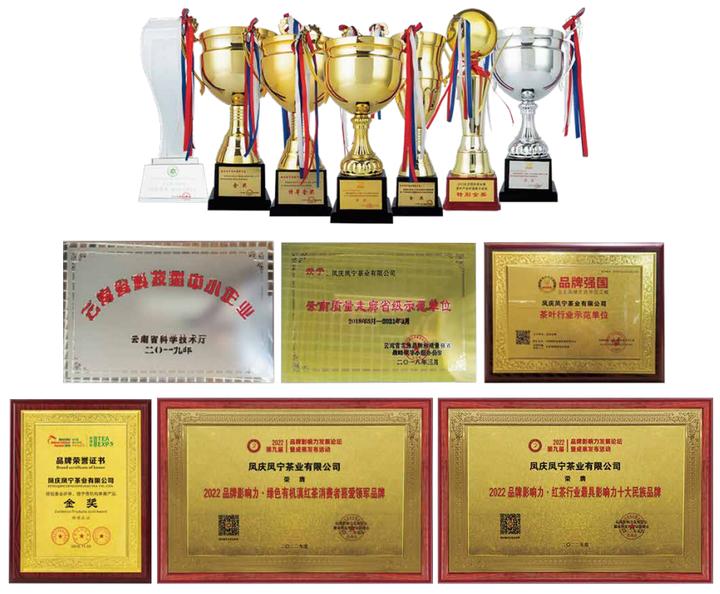 【普洱茶】德丰昌2020年百濮臻茗生茶测评