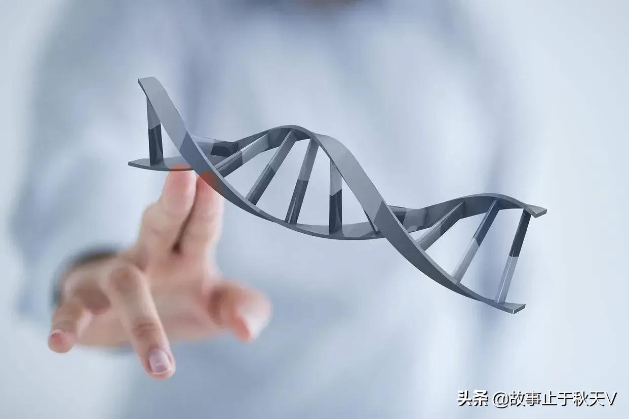 为什么讲“胎记”不是前世刻骨铭心的记忆？