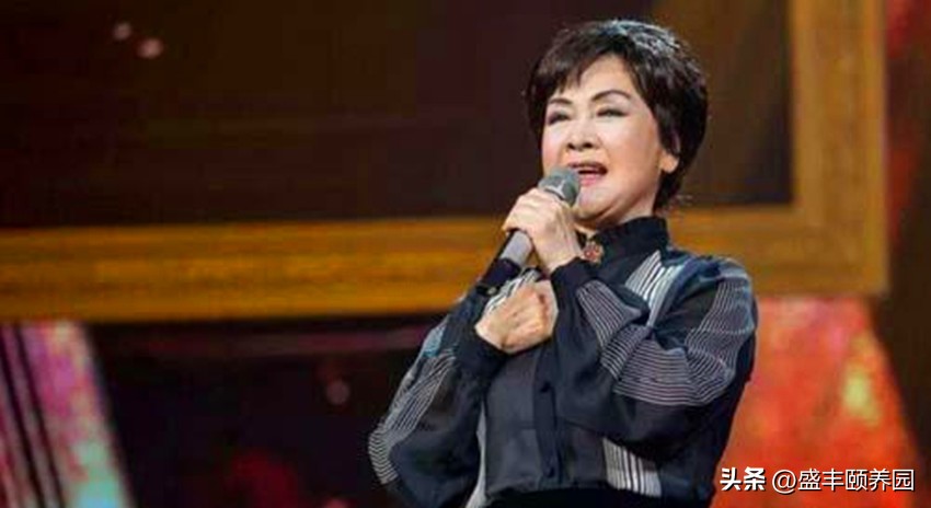 《乡恋》乘着春风来，有观众潮水般的期待，也是时代对文艺的召唤