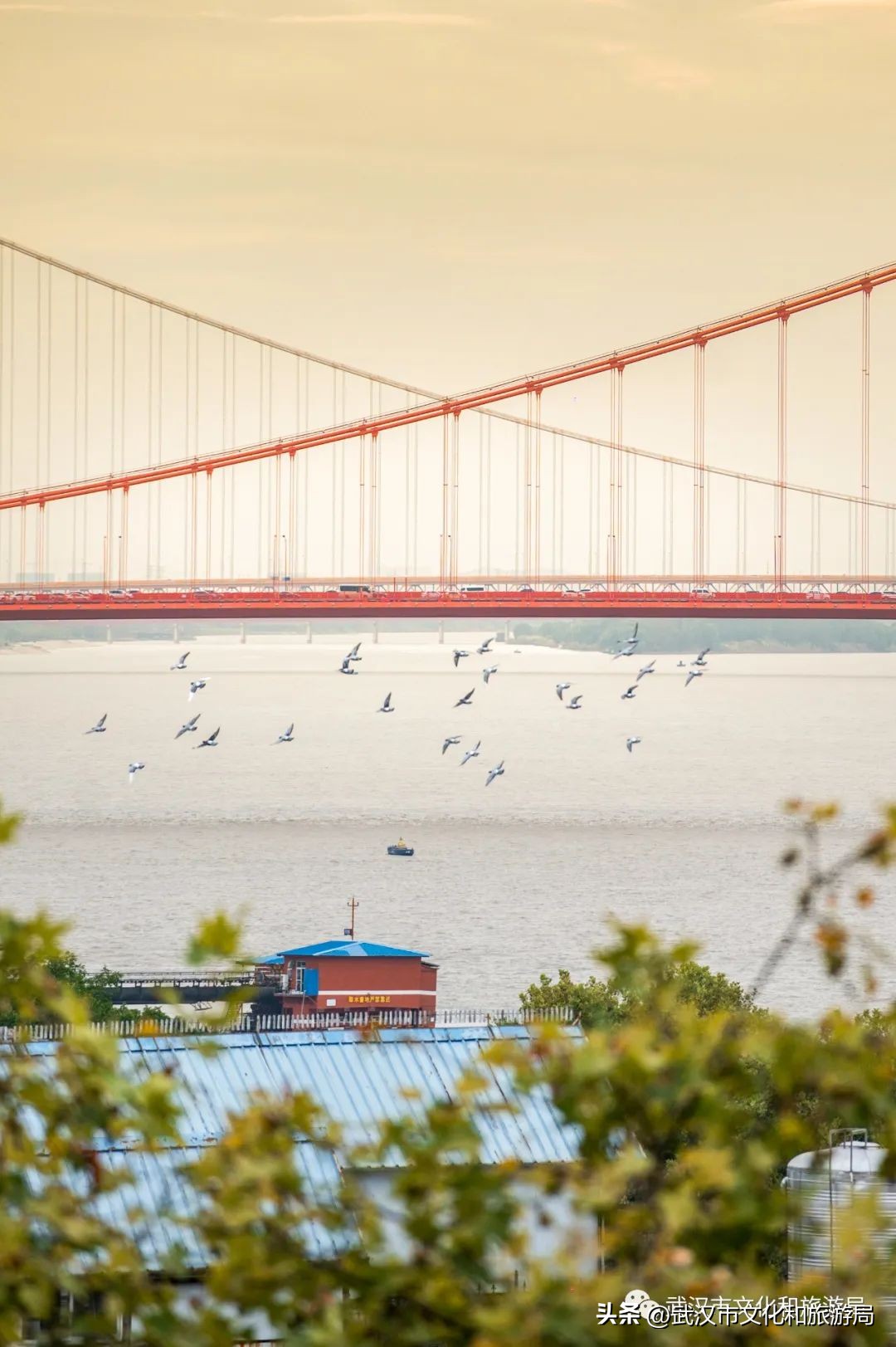 武汉元旦天气情况,武汉元旦有哪些活动