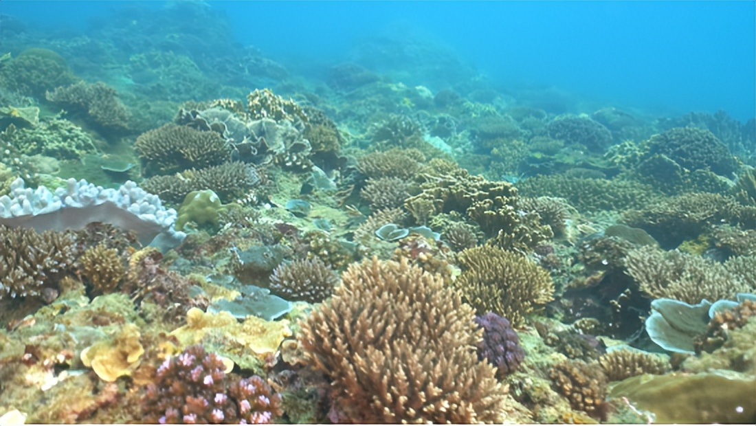 带孩子去蜈支洲适合玩多久,带小孩蜈支洲岛一日游攻略