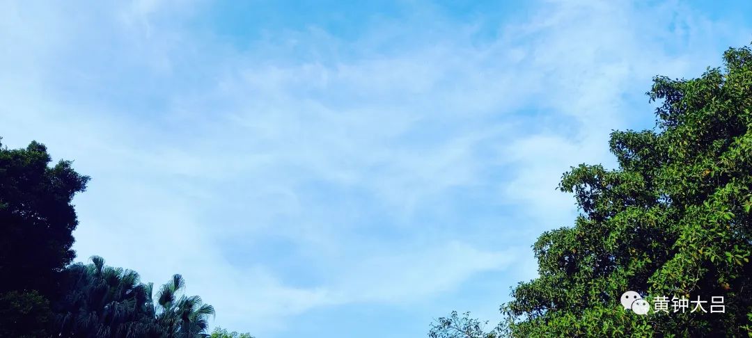 被爱也是一种能力，提高需要不断学习｜亲密关系（0527）