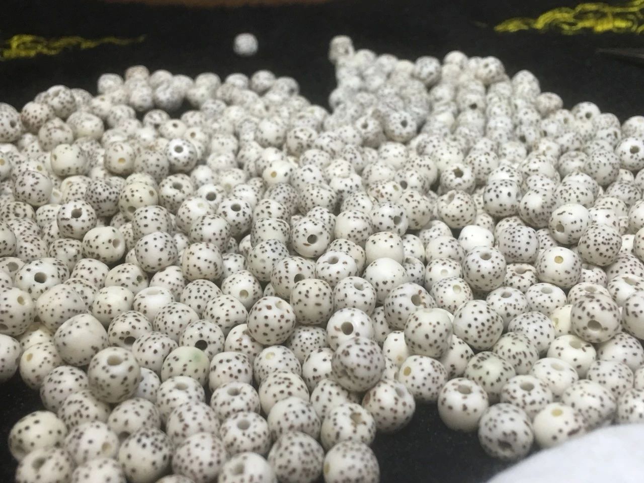 真正的星月菩提,顶级的星月菩提是玉化的吗