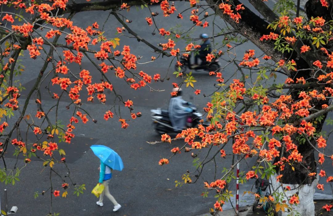 喜欢在这座江南城市里生活,非常喜欢这座自带浪漫的美丽城市