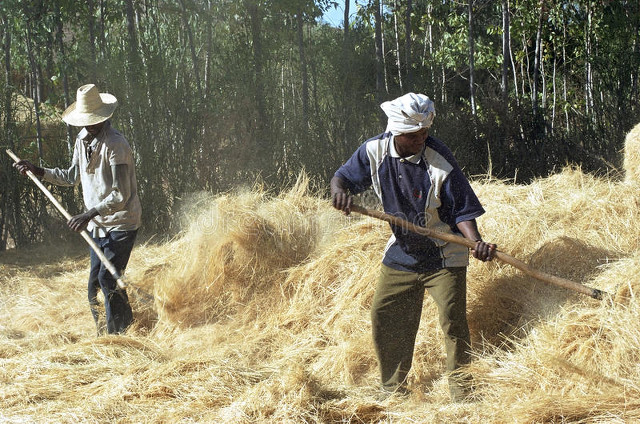 农业农村与农业有何本质区别,农业与农民的出路在哪里