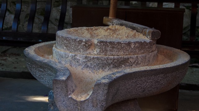 老年人营养豆浆,营养豆浆破壁机