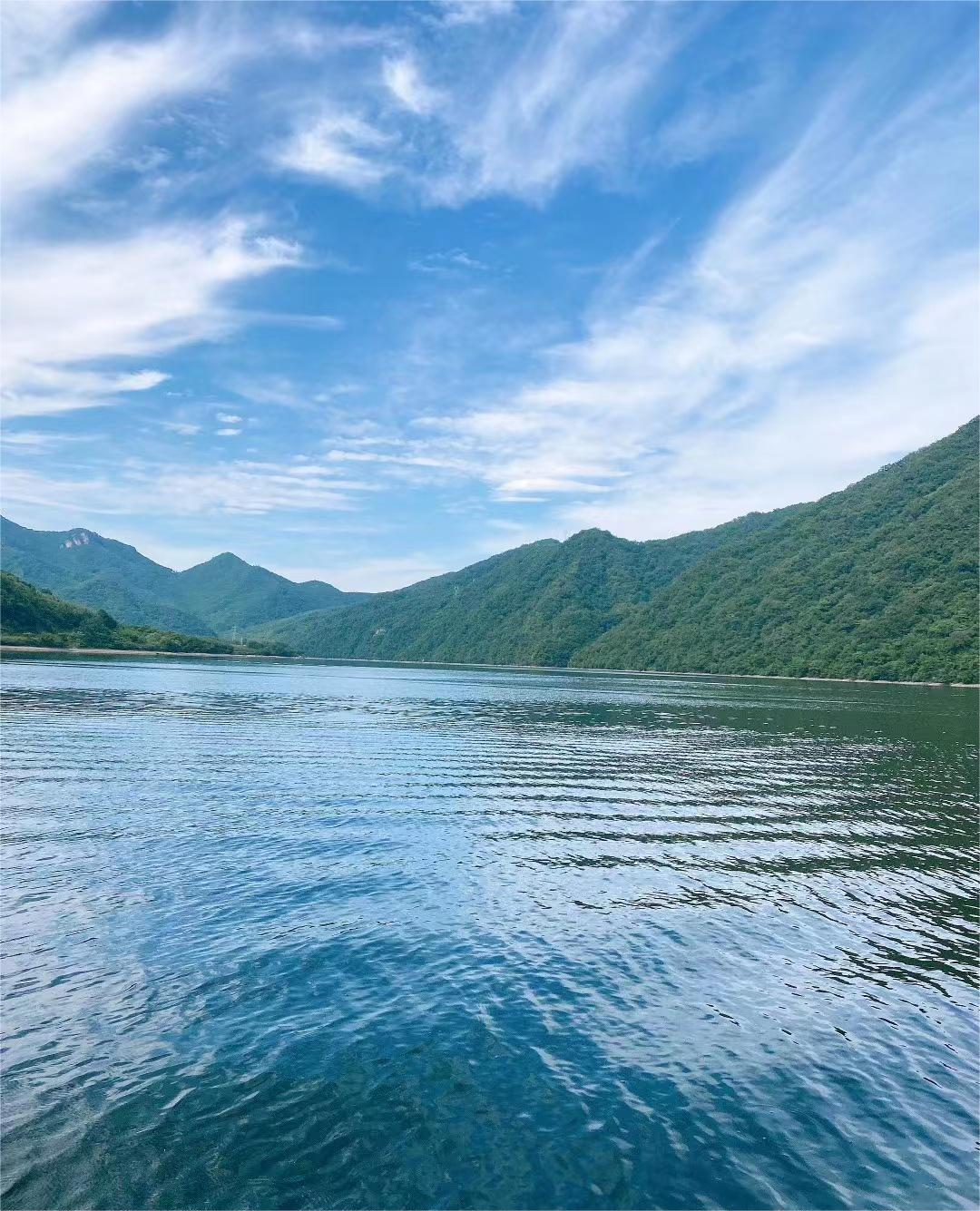 14款大众速腾1.6l手自一体图片,13年大众速腾1.6l烧机油