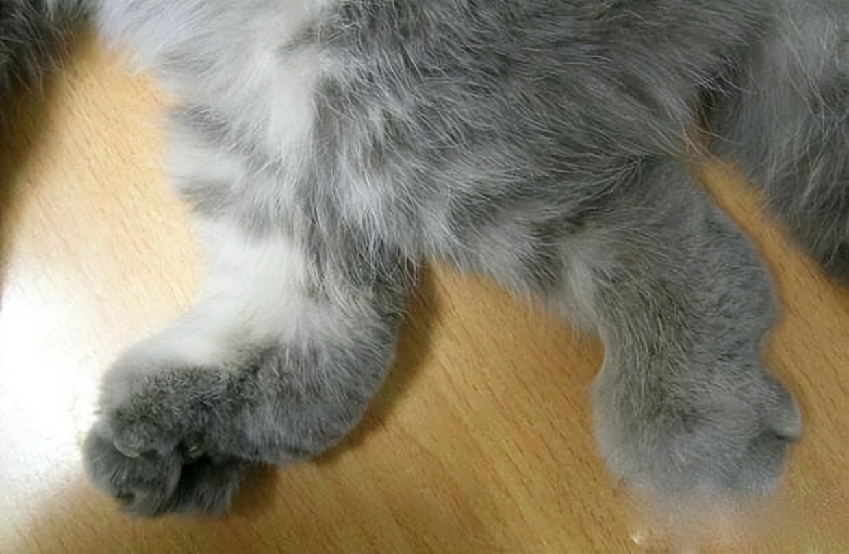 基因缺陷的人造杂交鱼，竟给台湾省赚到20亿外汇？背后真相太残忍