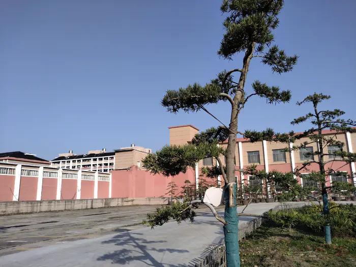 画与景,幼儿长卷画景