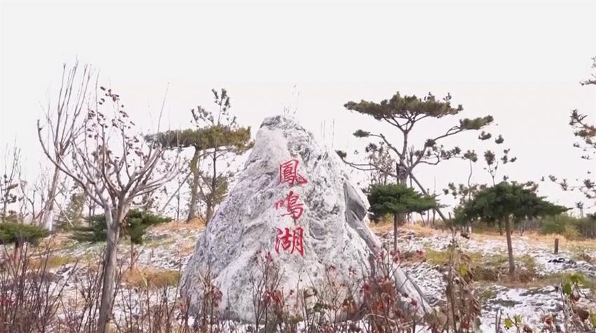 「滏水扬帆」“凤凰城”中凤鸣湖