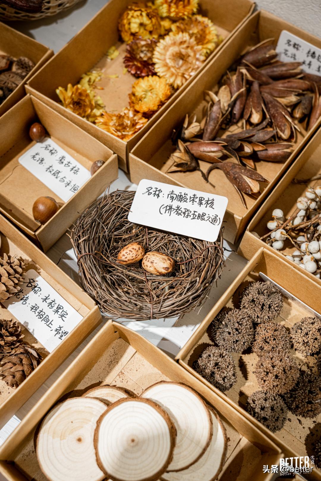 我在这家化石手作店，体验了一把「赌石」的快乐