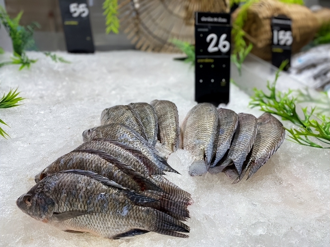 泰国lotus超市必买的,泰国lotus多少家