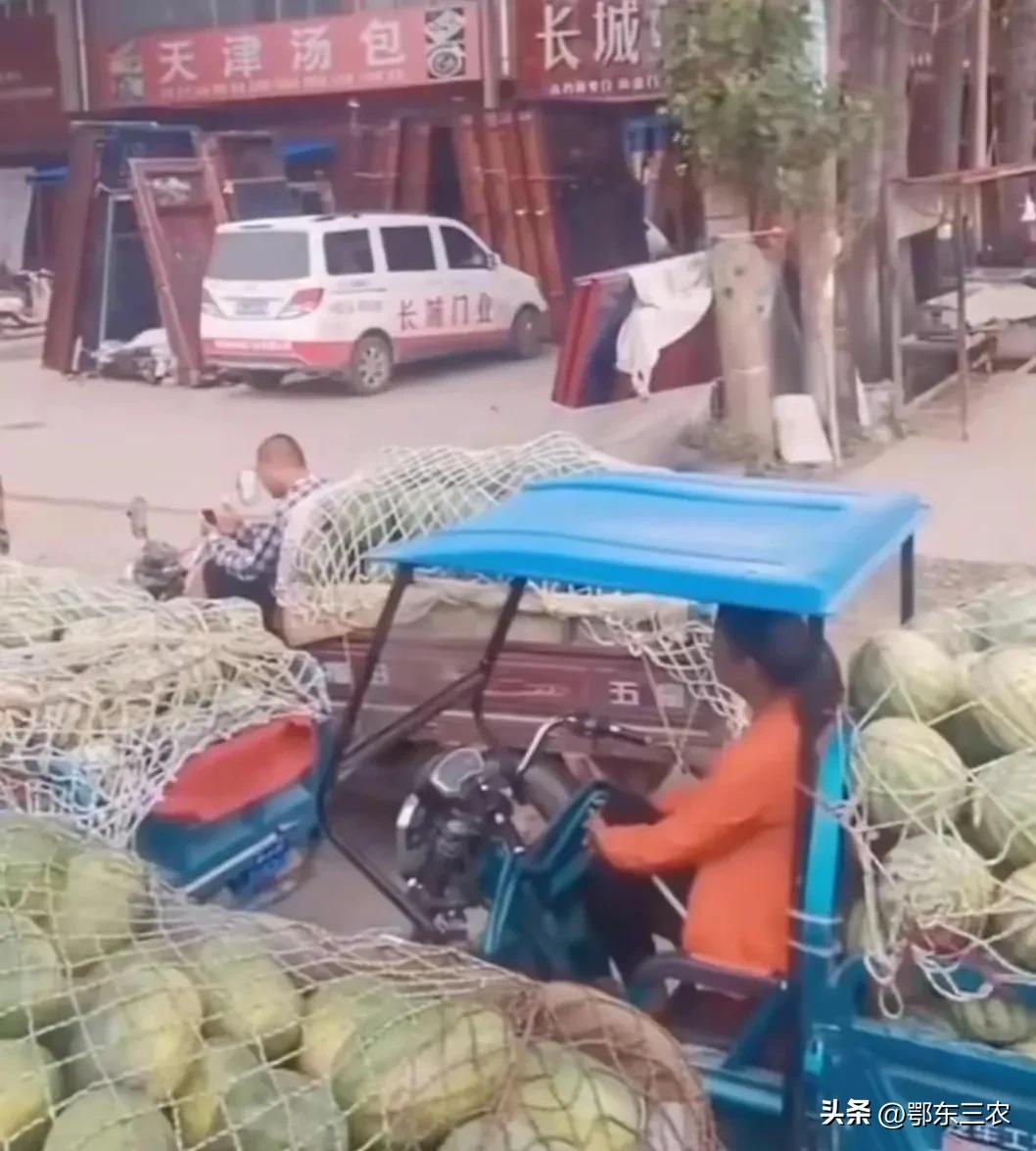 山东西瓜产地最新批发价格行情,产地西瓜卖多少钱一斤能回本