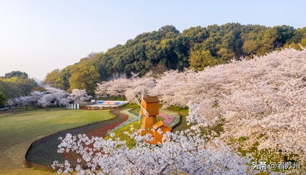 苏州赏花的地方,苏州三月中旬赏花去处