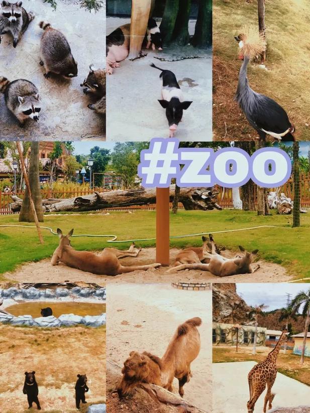 福州宝藏打卡地,福州的小众宝藏目的地