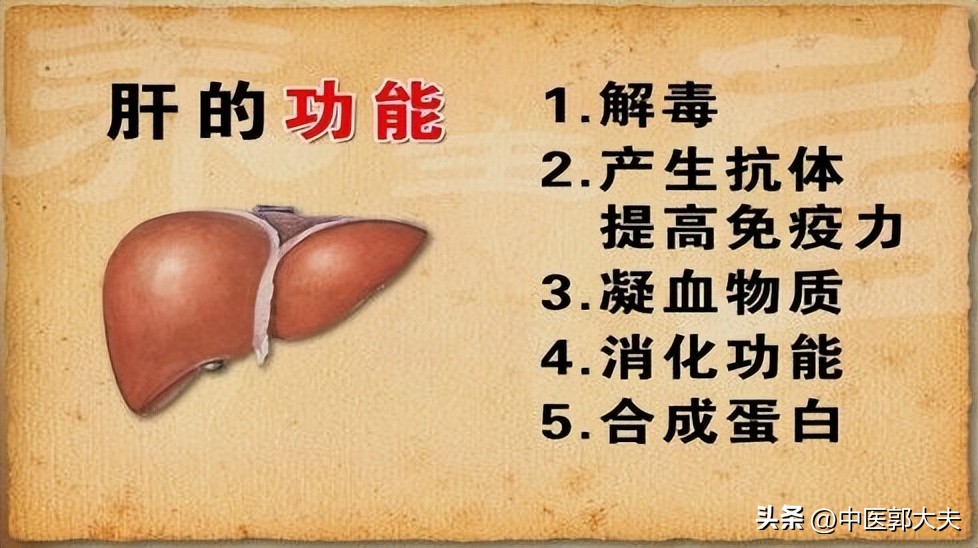 补肝疏肝最好的中草药,什么可以清肝通肝补肝