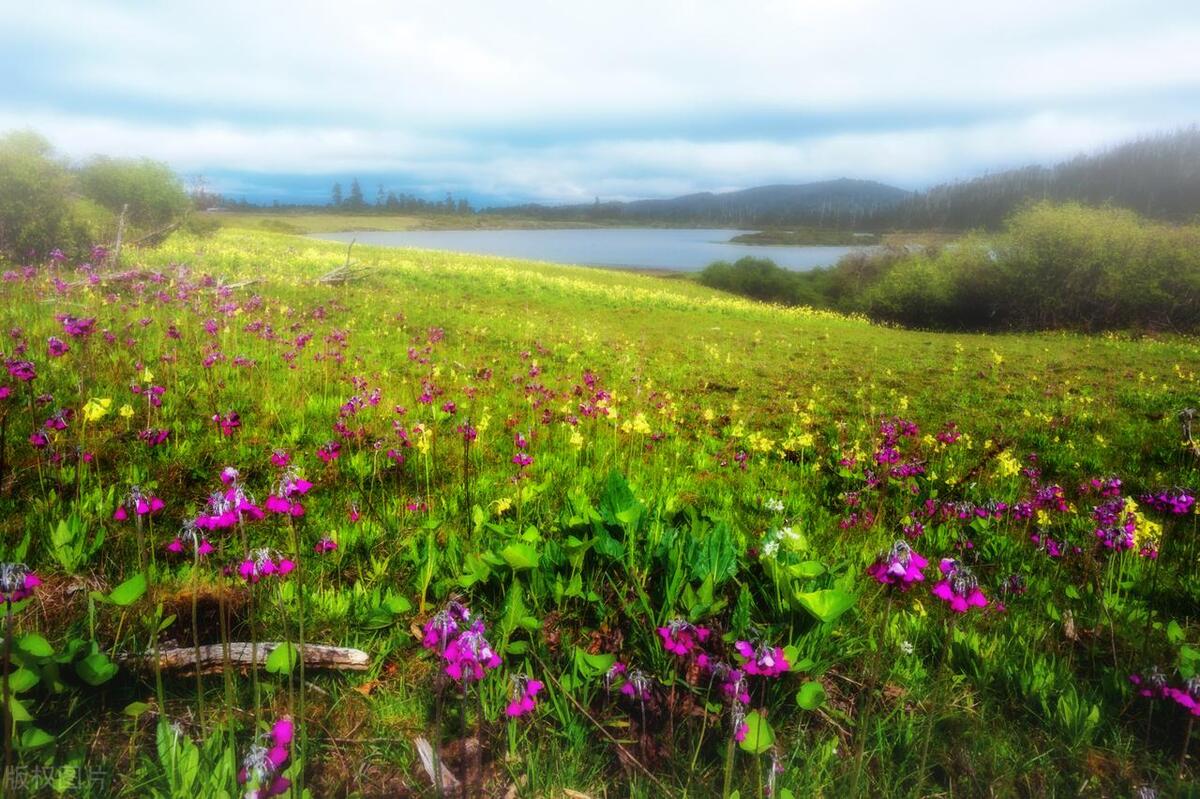 香格里拉最值得去的景点排名,香格里拉旅游必去的十大景点