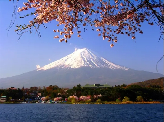 办理日本旅游签证需要什么条件,办理日本旅游签证去哪里办