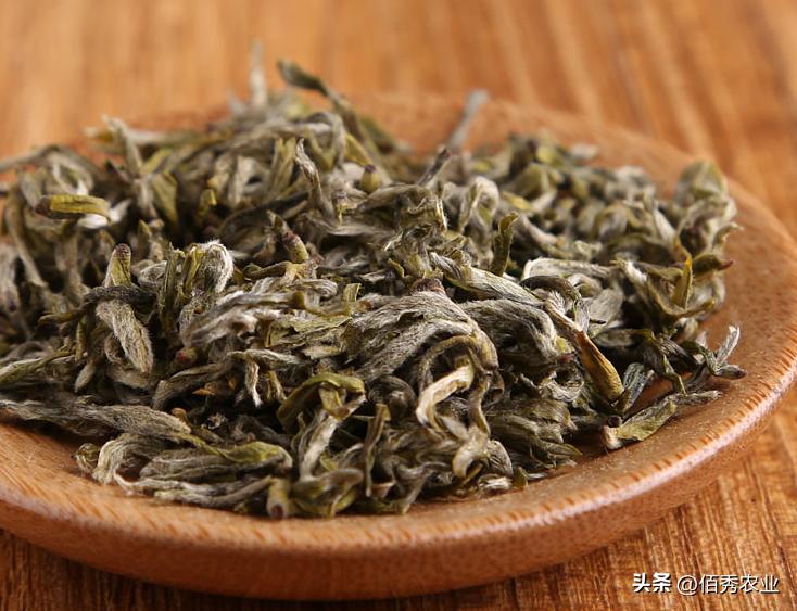 买茶时，别听商家“忽悠”，认准3个选茶标准，轻松买到天然佳茗