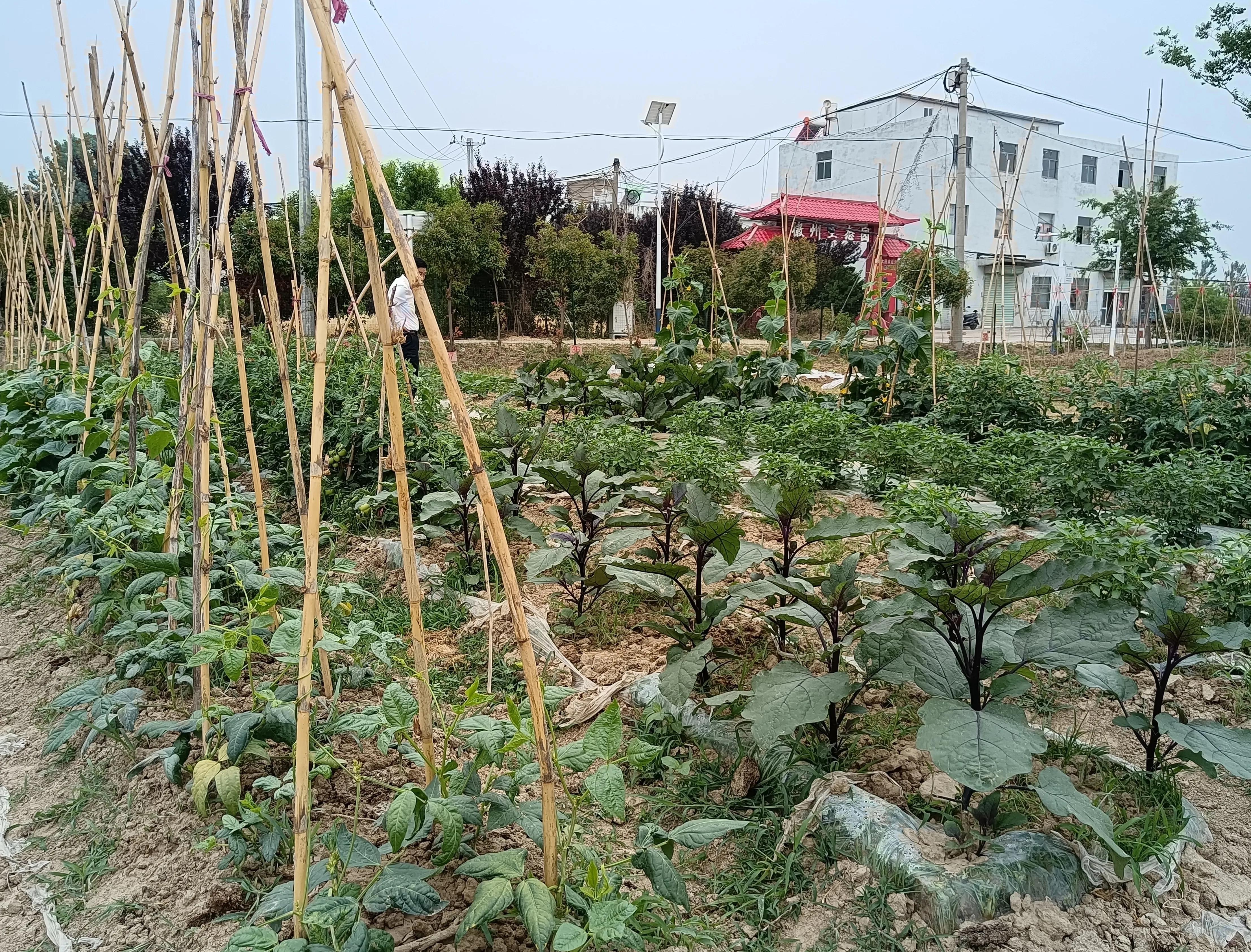 淮南市智慧农业产业园项目建设,淮南市投资新农村项目