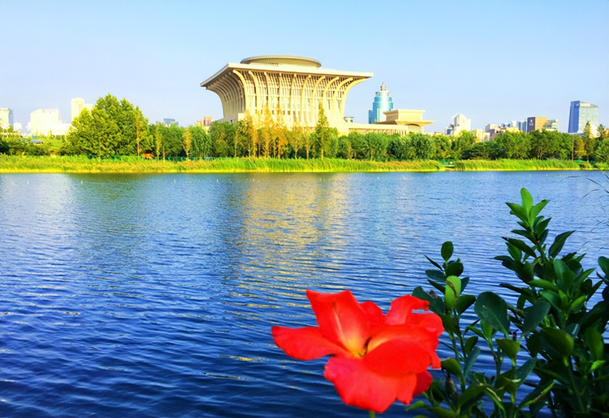 去奥林匹克公园能看到水立方吗,从奥林匹克塔看奥林匹克公园