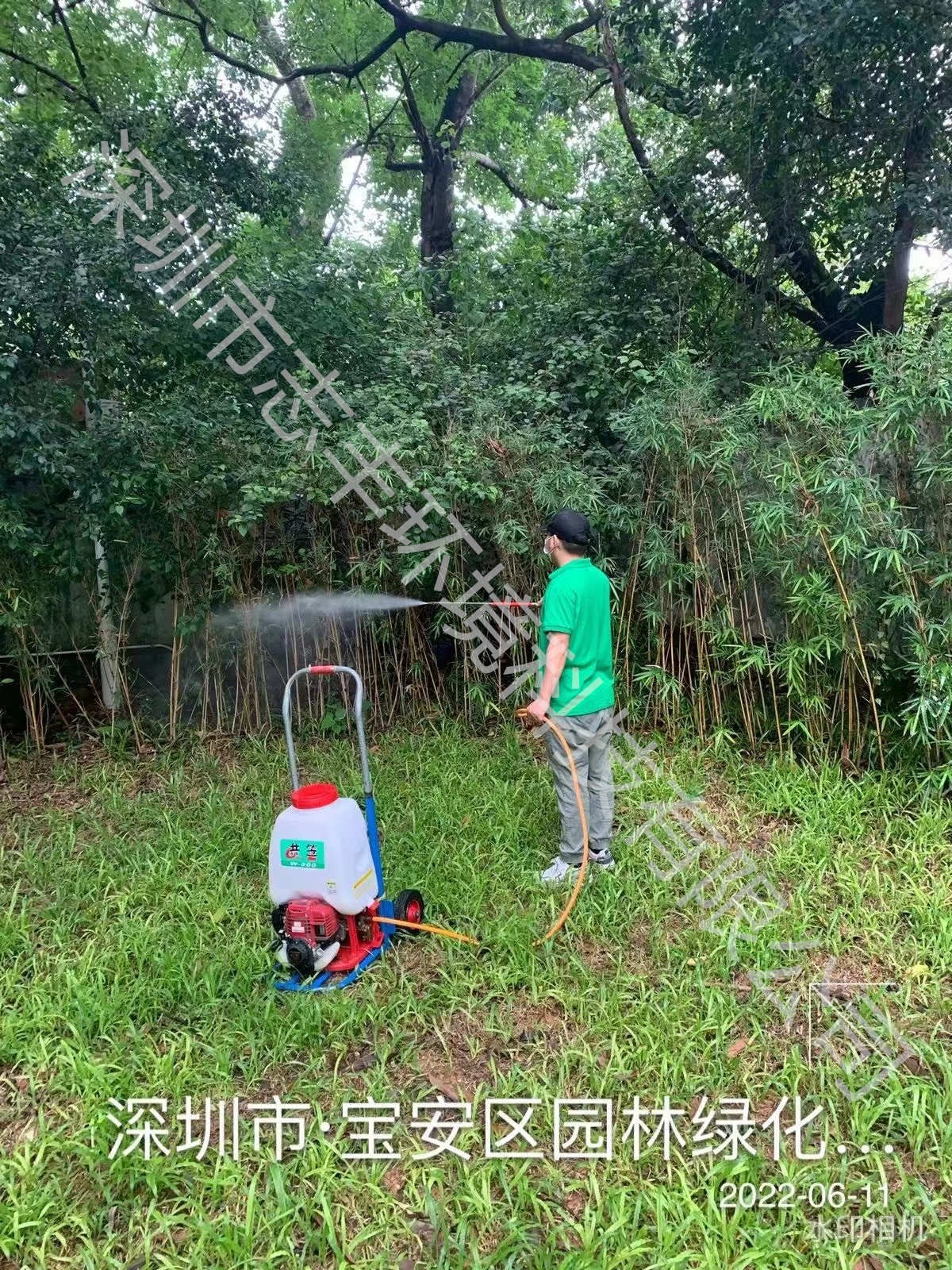 广州酒店蟑螂怎么消灭,街道专业消灭酒店蟑螂
