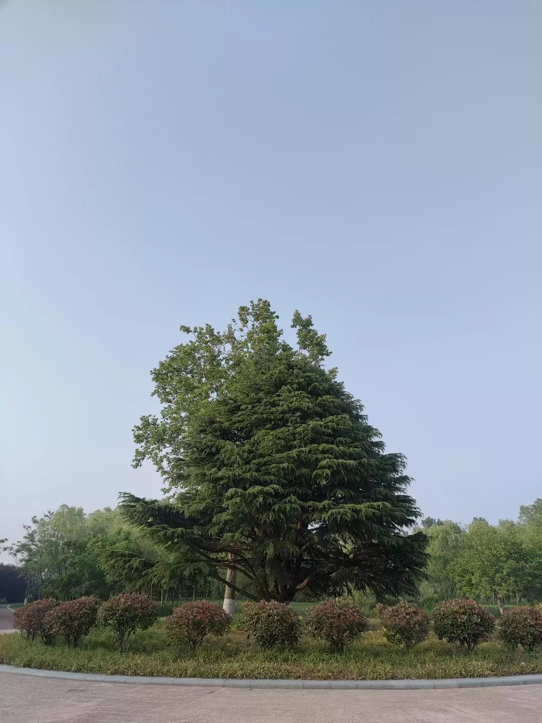 低调做人精辟成语,低调做人电视剧