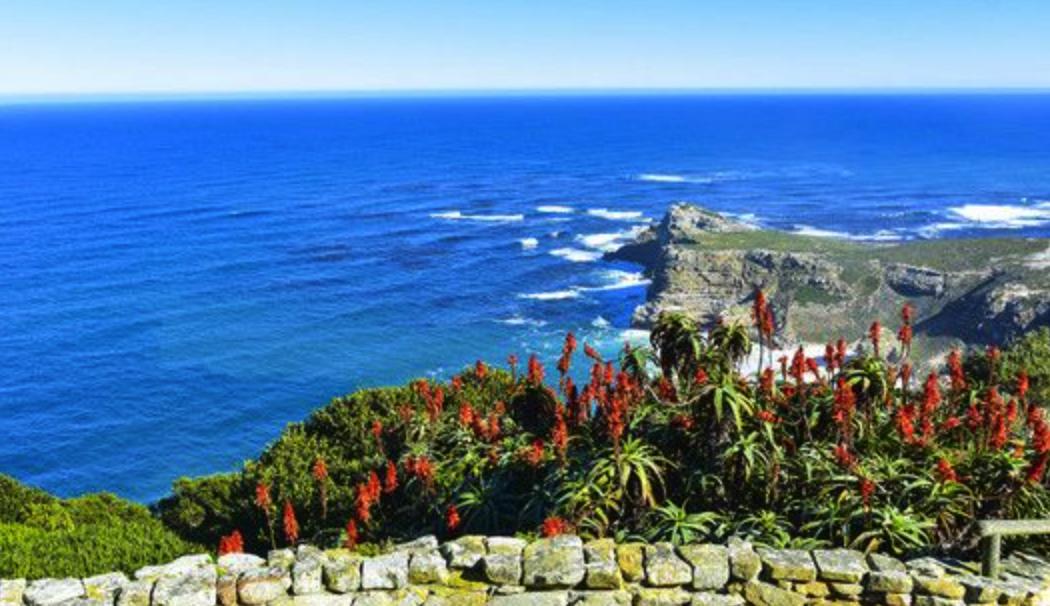 世界上最有神奇感而又美丽的地方,好望角的著名景点