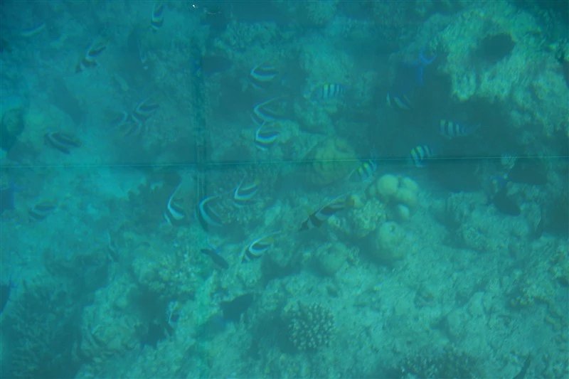 马尔代夫蜜月免费项目,蜜月旅游去马尔代夫哪个岛屿最好