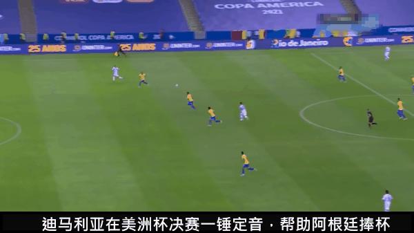 世界杯荷兰塞内加尔预测,荷兰vs阿根廷荷兰能进球吗