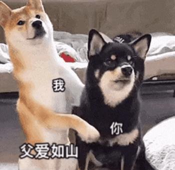 你说不喜欢我表情包我就删了,你为什么把我删了表情包