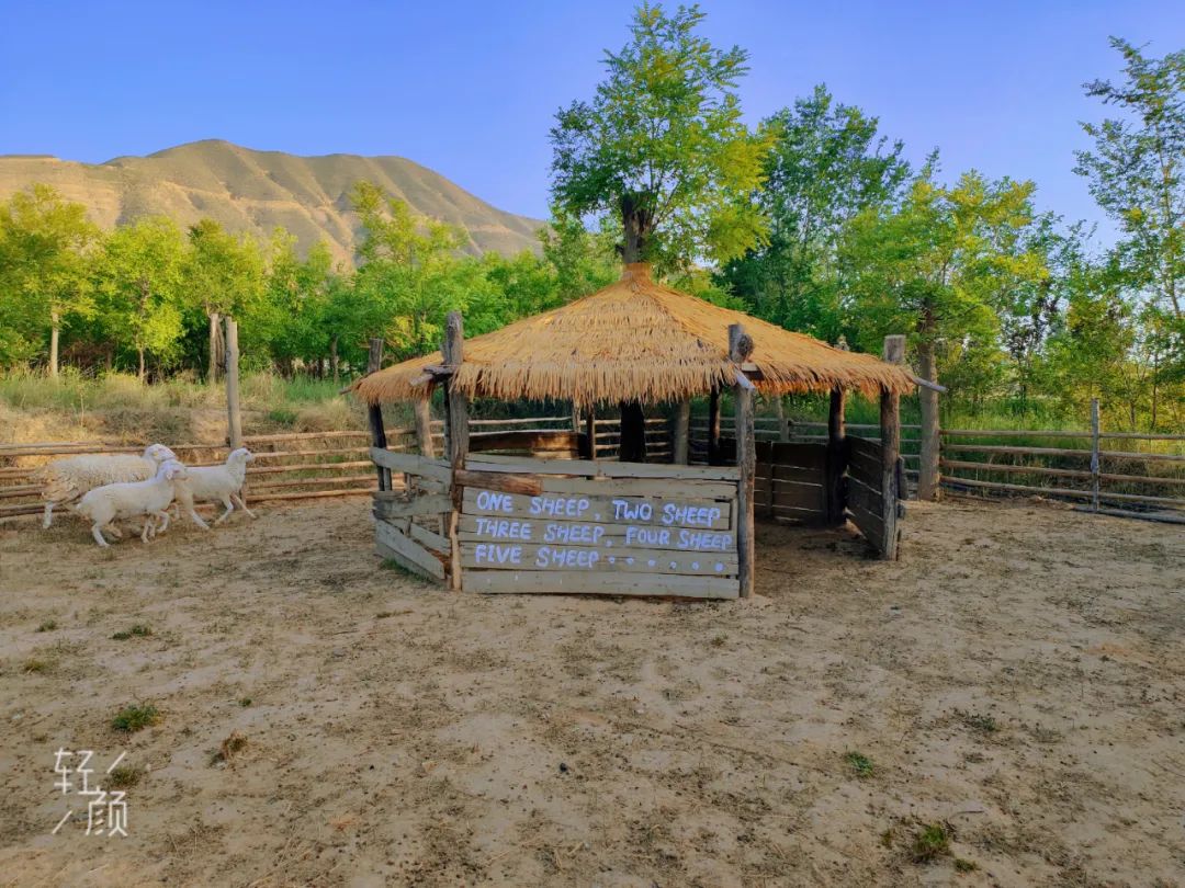 永靖盐锅峡小茨村规划,甘肃永靖盐锅峡小茨村木栈道