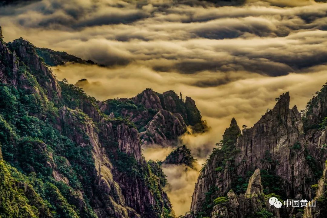 歙县记者节,记者采访风景视频素材