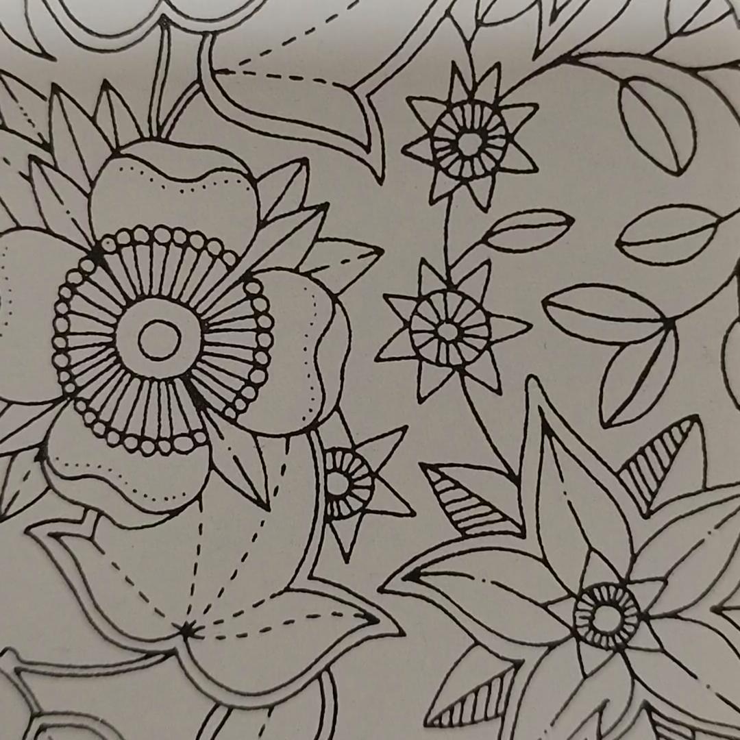 快嘴二婶#正能量分享