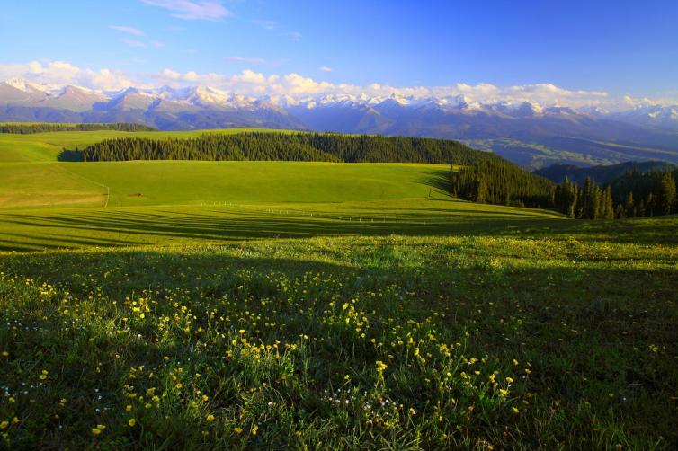 伊宁周边自驾二日游最佳路线推荐,伊宁周边旅游一日游自驾游