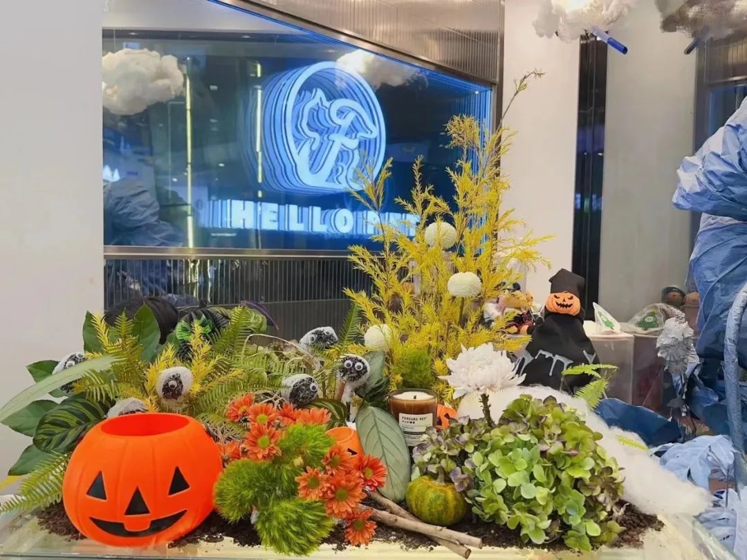 优秀门店专访|HELLOPET在宠物美容洗护领域做到极致