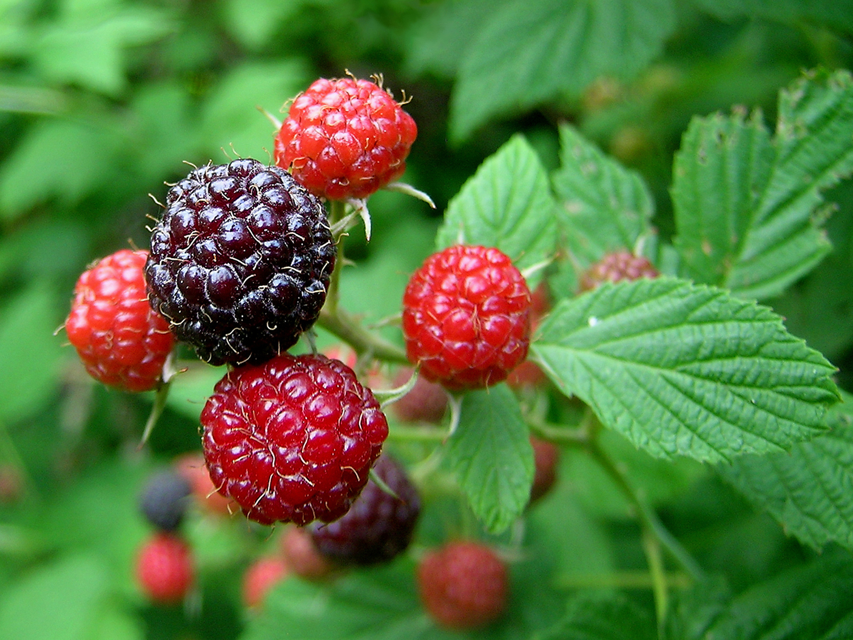 不保养皮肤衰老会更加严重吗,怎么保养脸部皮肤不衰老
