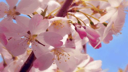 惠州小孩出生最迟多久上户口,广东惠州小孩改名难吗