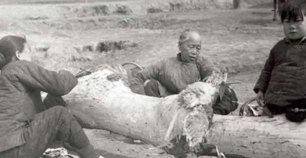 古代饥荒为啥不开仓放粮,古代饥荒人们是吃什么度过的