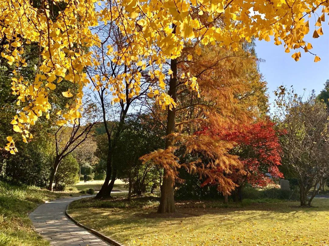 上海13号地铁沿线玩的好地方,上海地铁游玩攻略