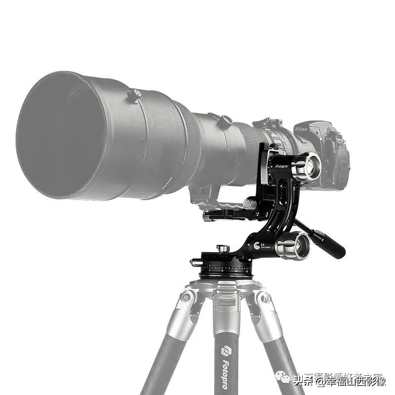 轻巧而又专业的拍鸟器材是它——奥之心相机镜头体验记