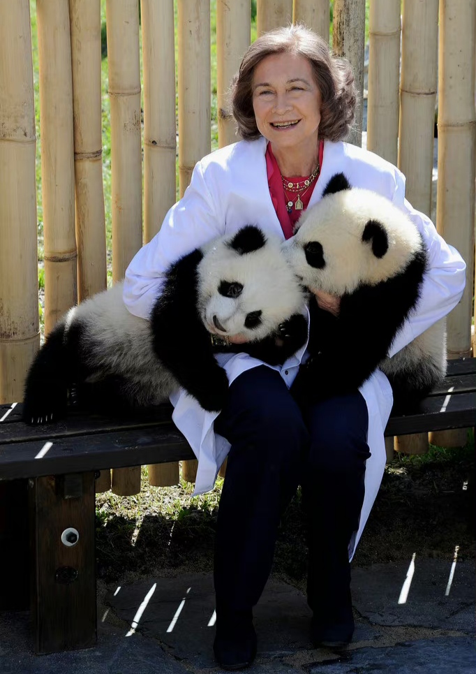 85岁索菲亚王后太有气质了!衬衫搭西装套装,精神干练贵气十足