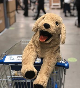 那些年陪伴我们一起的伙伴完整版,那些年陪伴我们一起的伙伴