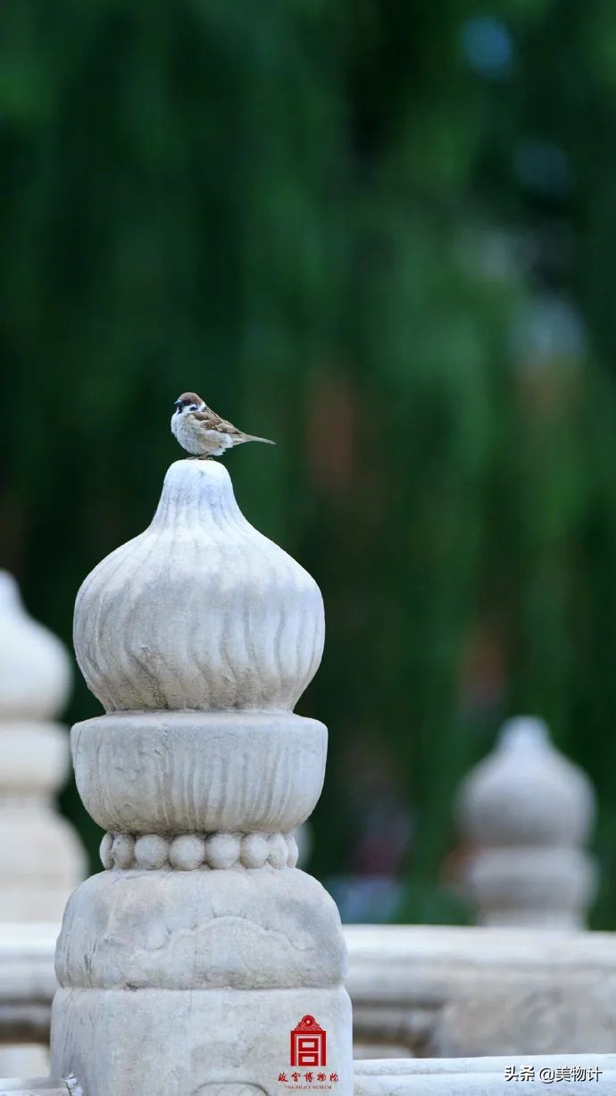 愿五月平安顺利开心,愿五月一切平安顺遂