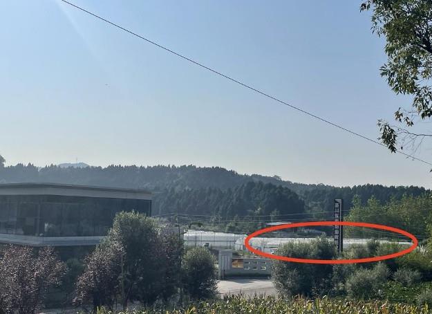 四川阆中金喜珠宝,阆中金喜珠宝加工厂到底怎么回事