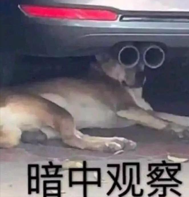 奢侈品lv是最成功的么,奢侈品lv都是什么人买