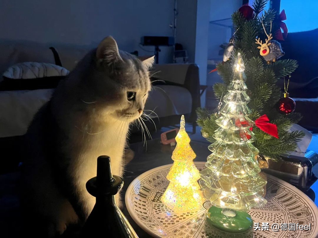 实在不知道圣诞节送什么礼物,圣诞节适合送什么小众高级的礼物