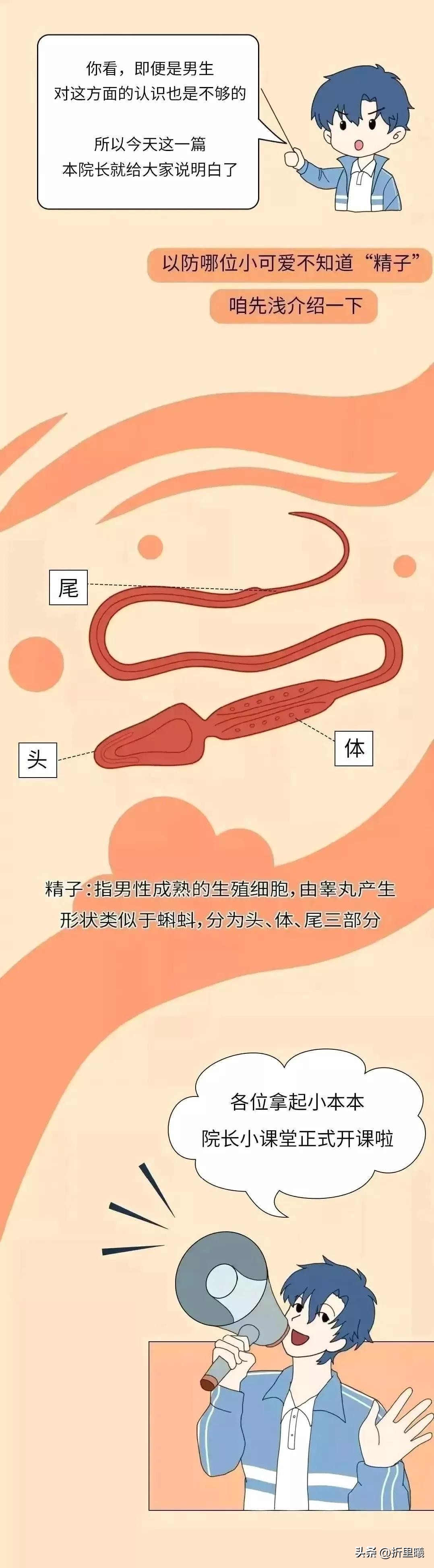 憋回去的精子都跑哪去了？